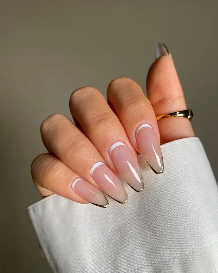 Klassische Französische Samt-Nägel